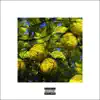 Quadeca - Lemon Tree - Single